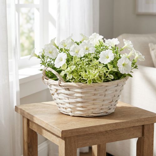 Cestino con manici, cestino in truciolato, cestino per piante, bianco, vintage, decorativo, Ø35cm | Floristik24.it