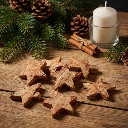 Decorazione stella di cocco naturale Decorazione natalizia naturale 5,5-7 cm 30 pz | Floristik24.it
