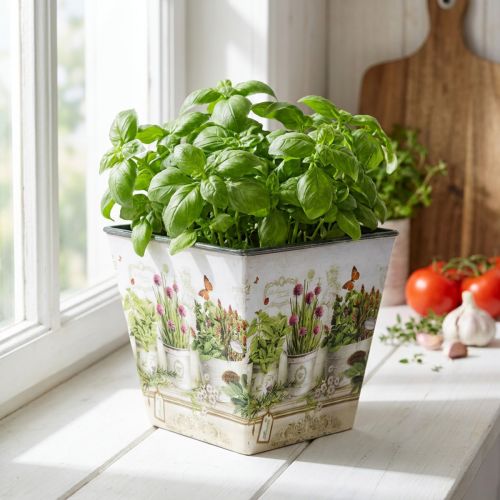 Vaso per erbe aromatiche, fioriera con motivo, fioriera H13 cm L13,5 cm | Floristik24.it