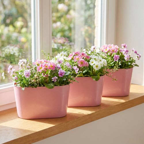 Ciotola per piante ovale rosa ciotola decorativa plastica 20×10×11 cm 3pz | Floristik24.it