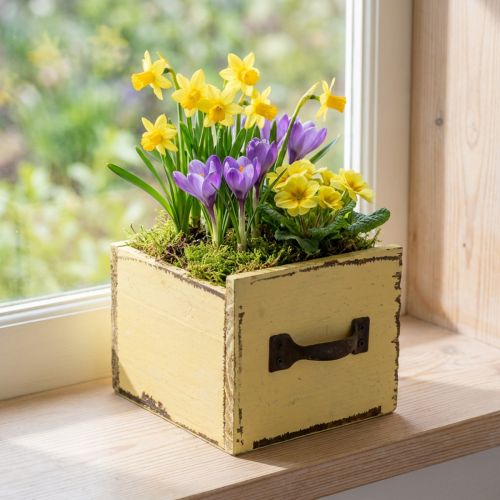 Cassetto per piante in legno decorativo per piante giallo 12,5 cm | Floristik24.it