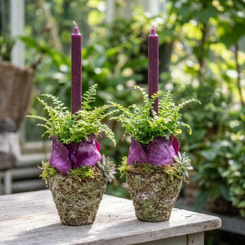 Vaso per piante in stile rustico foresta Ø12,5cm H12cm 2 pezzi | Floristik24.it