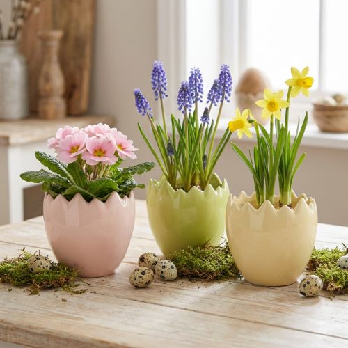 Prodotto Vaso da fiori a forma di uovo con bordo spezzato per un posizionamento creativo su davanzali e tavoli, 9 cm, 3 pezzi
