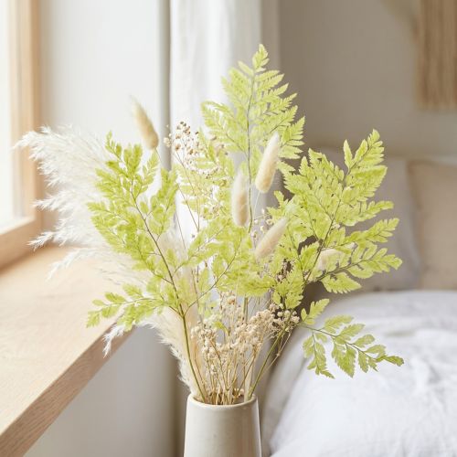 Felci: materiale naturale stabilizzato di alta qualità per progetti decorativi di lunga durata, 40 cm, 10 pezzi | Floristik24.it