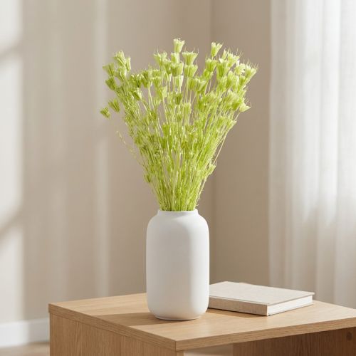 Prodotto Fiori di Nigella essiccati, affascinante decorazione naturale per la casa, 70 cm, 50 g
