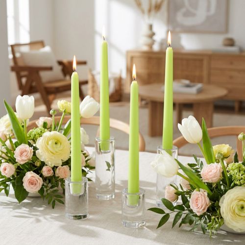 Candele coniche 250/23 verde chiaro 12 pz. | Floristik24.it