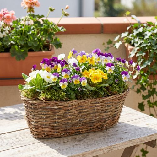 Cesto ovale per piante, con motivo a vite, vassoio per piante dall'aspetto naturale, lungo 30 cm. | Floristik24.it