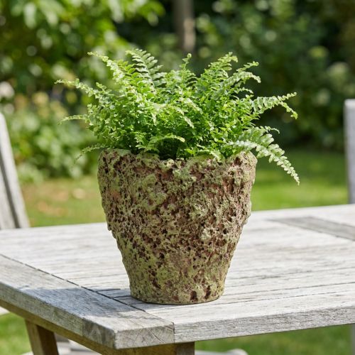 Vaso per piante rustico effetto muschio Ø17cm H16,5cm | Floristik24.it