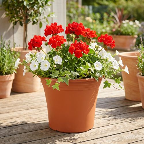 Vaso “Irys” plastica terracotta Ø22cm H18cm 1 pz | Floristik24.it