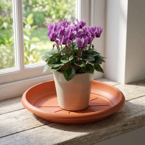 Piattino "Linda" Ø18cm in terracotta | Floristik24.it