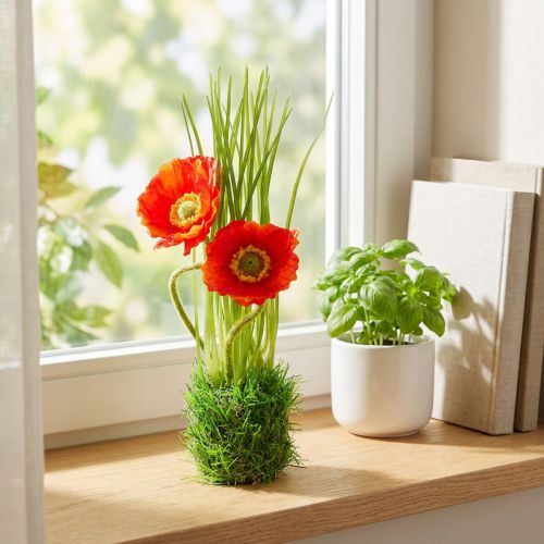 Rosso papavero nell'erba 23 cm | Floristik24.it