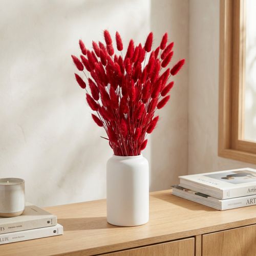 Erba coda di coniglio (Lagurus) essiccata rossa 60 cm 50 g Decorazione floreale essiccata | Floristik24.it