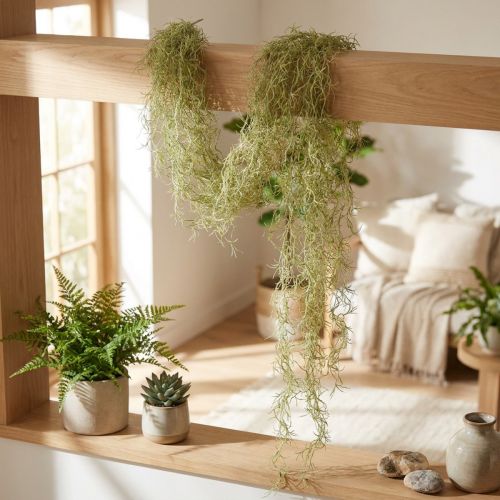 Tillandsia decorativa da appendere Tillandsia artificiale verde bianco 180 cm | Floristik24.it