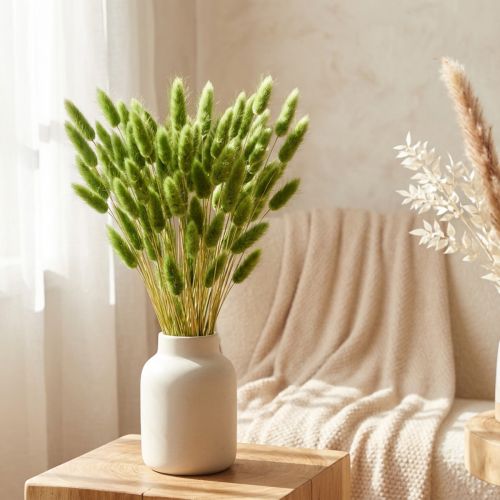 Erba coda di coniglio Erba ornamentale Lagurus verde oliva L65cm 50g | Floristik24.it