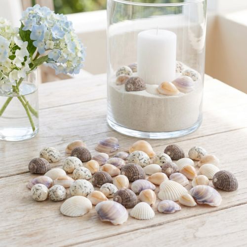 Decorazione a conchiglia mini