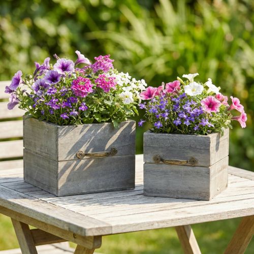 Fioriera cassetto in legno lavato grigio 15×15 cm/12×12 cm set di 2 | Floristik24.it