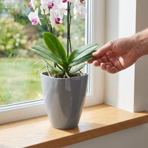 Vaso per orchidee lucido Ø12,5 cm grigio 1 pezzo | Floristik24.it