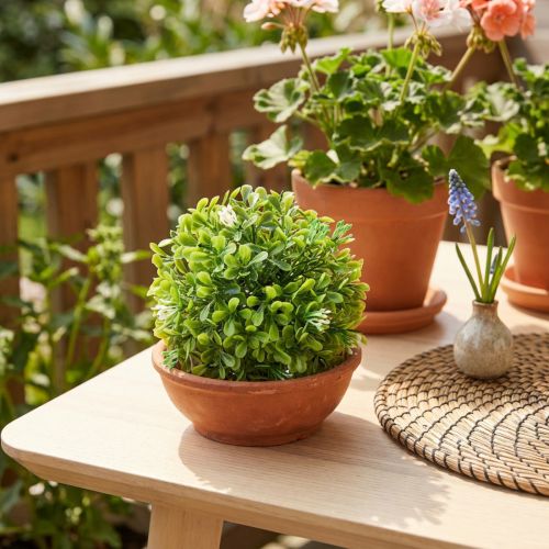 Mini palla di bosso con fiori scatola palla verde Ø10cm | Floristik24.it