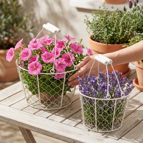 Prodotto Cestini decorativi in filo metallico come soluzione decorativa per un design creativo del giardino, 30 cm, 1 set