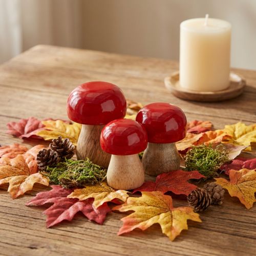 Funghi decorativi, laccati rossi, in legno, a forma di bottone, H5cm Ø4cm, 6 pezzi | Floristik24.it