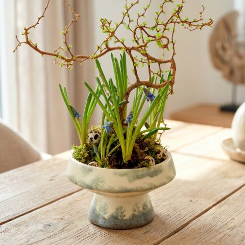 Ciotola decorativa in ceramica con base crema grigio verde Ø17cm 10cm | Floristik24.it