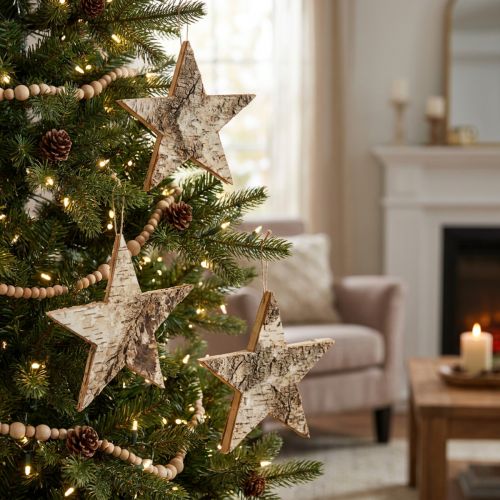 Stelle di betulla per appendere stelle corteccia di betulla naturale 15 cm 6 pz | Floristik24.it