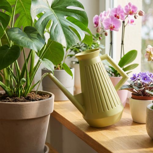 Annaffiatoio da interno, verde oliva, stile retrò, 24,5 cm, 1,8 l, annaffiatoio di design, plastica, irrigazione delle piante | Floristik24.it