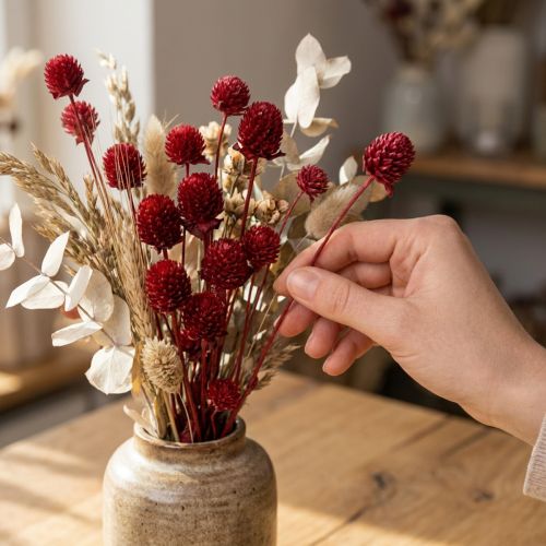 Prodotto Globo amaranto Gomphrena Globosa in rosso scuro L45cm 100g