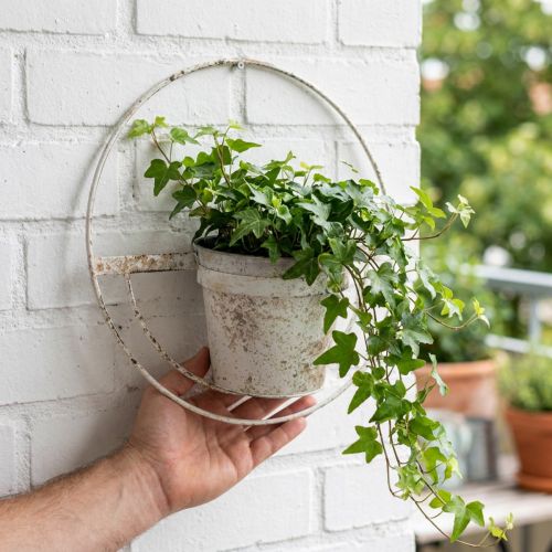 Fioriera shabby chic da parete in metallo bianco con sospensione Ø37cm | Floristik24.it