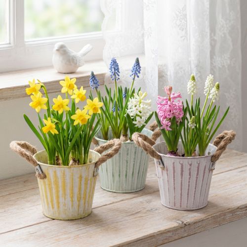 Secchiello per piante, vaso in metallo con manici, fioriera decorativa, rosa/verde/giallo, shabby chic, Ø12cm, H10cm, set da 3 | Floristik24.it