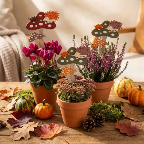Decorazione a forma di fiore con agarico di mosca, decorazione autunnale con riccio, 8 cm, 12 pezzi | Floristik24.it