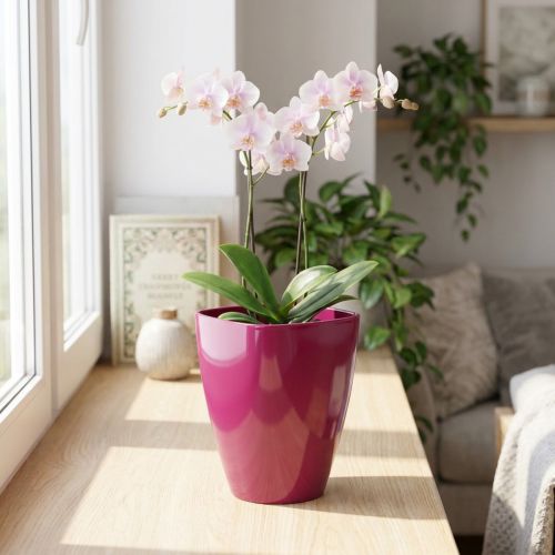 Vaso per orchidee lucido Ø12,5 cm ciliegia 1 pz | Floristik24.it