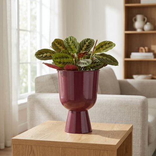 Prodotto Vaso da fiori a forma di coppa, stile moderno, decorativo per qualsiasi casa e ufficio, 23 cm