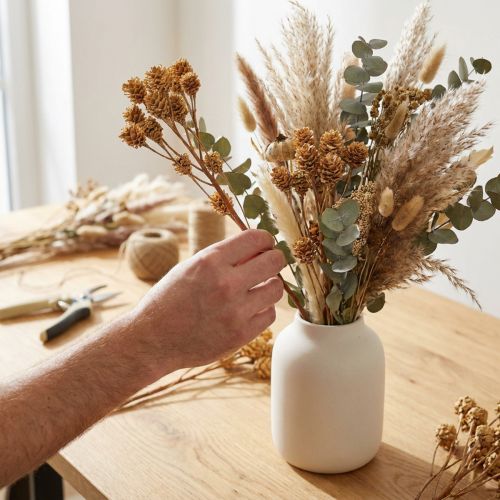 Ramo di Salignum leucadendron chiaro fiori sul ramo 25 pz | Floristik24.it