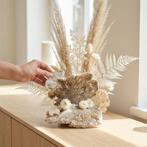 Spugna d'albero imbiancata 1 kg - Composizione di fiori secchi, decorazione, artigianato | Floristik24.it