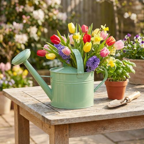 Annaffiatoio decorativo in metallo, colore menta, per piante e decorazioni, primavera/estate, H26cm, 5L | Floristik24.it