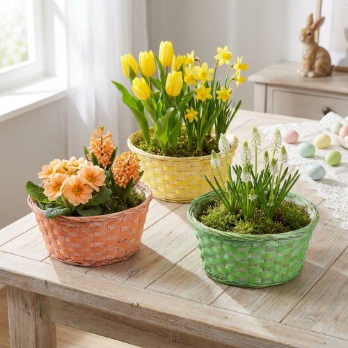 Cesto per piante rotondo Ø25 cm arancione, giallo, verde 6 pz | Floristik24.it
