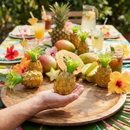 Mini set di ananas decorativi, frutta artificiale tropicale, 6 pezzi | Floristik24.it
