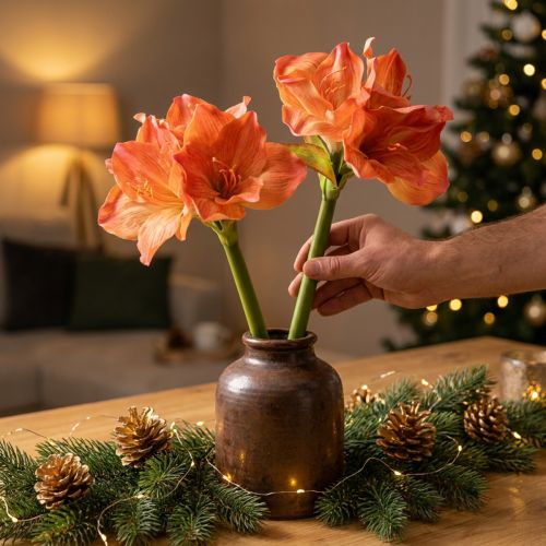 Prodotto Fiori decorativi Amaryllis in artificiale arancione L55cm 2 pezzi