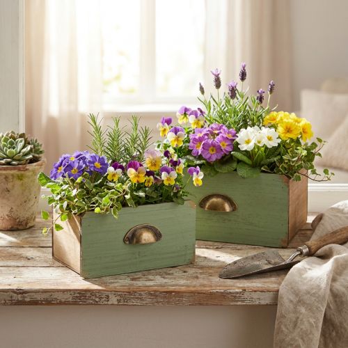 Cassettiera in legno decorazione cassettiera per piante 22/18 cm set da 2 pezzi | Floristik24.it