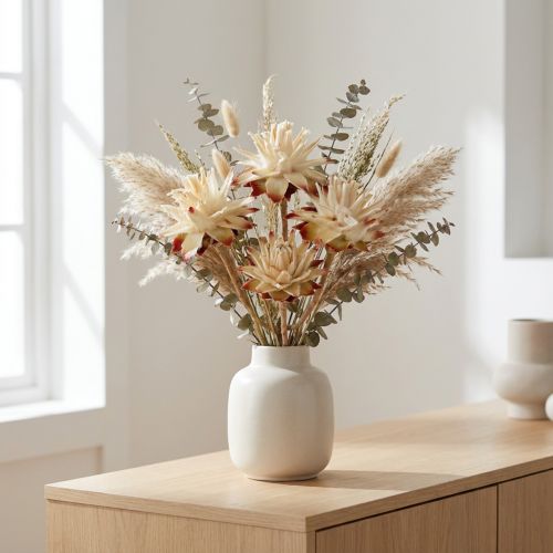 Leucospermum 1-3 Mescolare la panna 100 teste | Floristik24.it