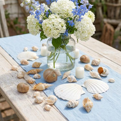 Prodotto Gusci di lumaca decorativi Lumache di mare natura Decorazione marittima 350g
