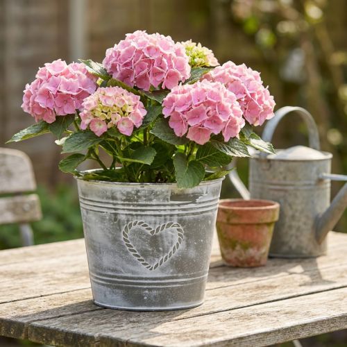 Vaso da fiori in metallo stile Shabby Chic con decorazione a forma di cuore, Ø22cm, H17.5cm | Floristik24.it