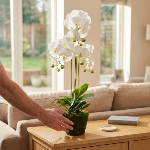 Orchidee artificiali da vaso bianche 80 cm | Floristik24.it
