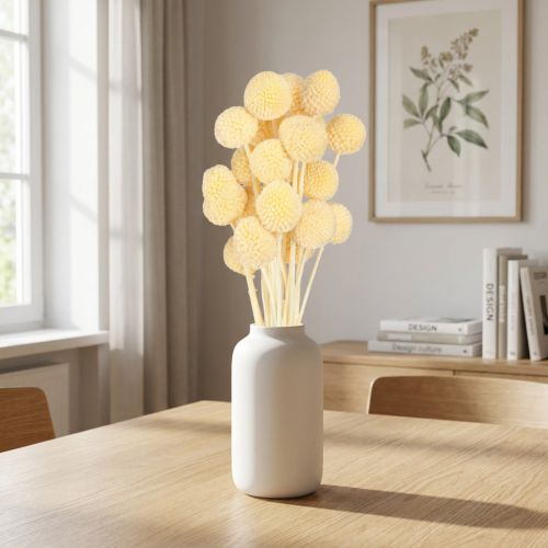 Decorazione in crema con fiori secchi di Craspedia, 20 pezzi, 50-55 cm | Floristik24.it