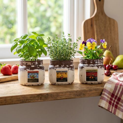 Cachepot decorazione cucina in ceramica vasetto per marmellata 7×7,5cm 3pz | Floristik24.it