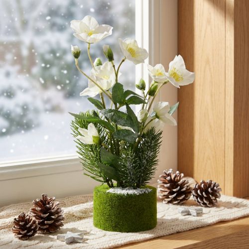Rosa di Natale artificiale con abete e palla di muschio, ricoperta di neve bianca, 33 cm | Floristik24.it