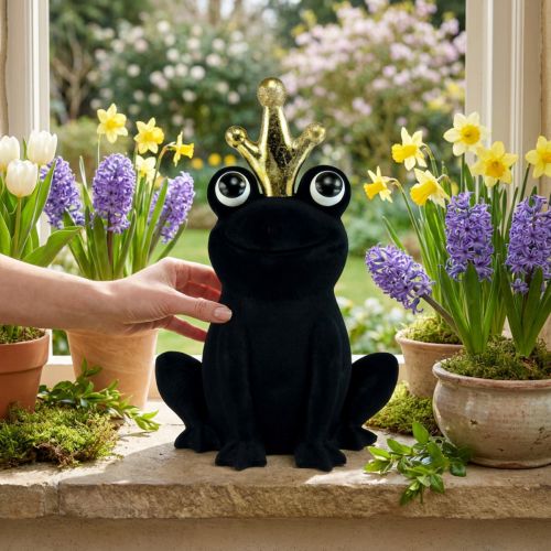 Rana decorativa, principe ranocchio, decorazione primaverile, rana con corona d'oro nera 40,5 cm | Floristik24.it