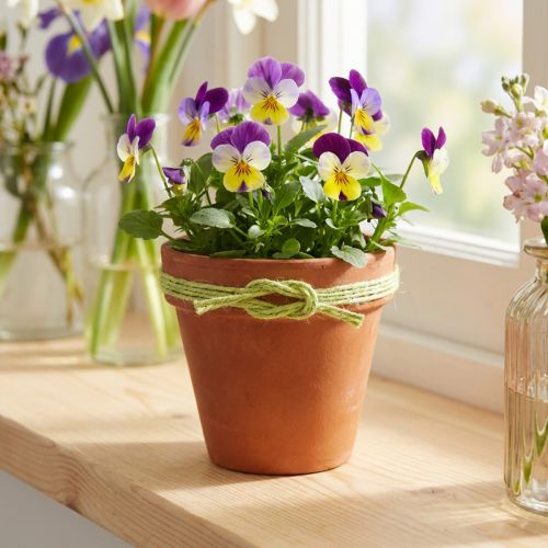 Prodotto Nastro di iuta nastro decorativo iuta corda di iuta verde Ø2mm 200m