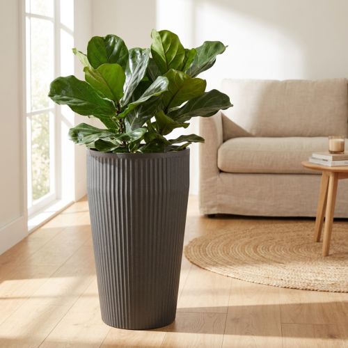 Vaso da terra in plastica antracite Ø28cm H46,5cm | Floristik24.it